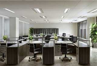 嘉兴灭鼠公司哪家好